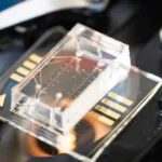 City of Hope and UC Berkeley Researchers Use AI to Identify Cancer Risk by Compressing Individual Breast Cells