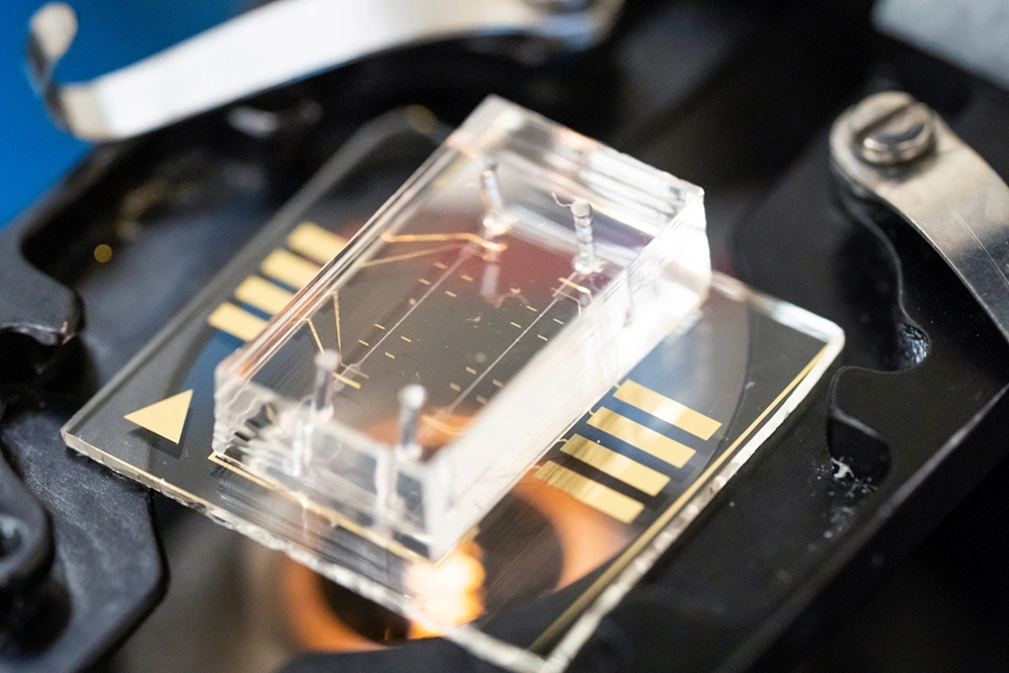 City of Hope and UC Berkeley Researchers Teach AI to Spot Cancer Risk